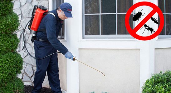 Pursaklar Pire İlaçlama böcek ilaçlama ve haşere kontrolü — ilaclama-tr.com